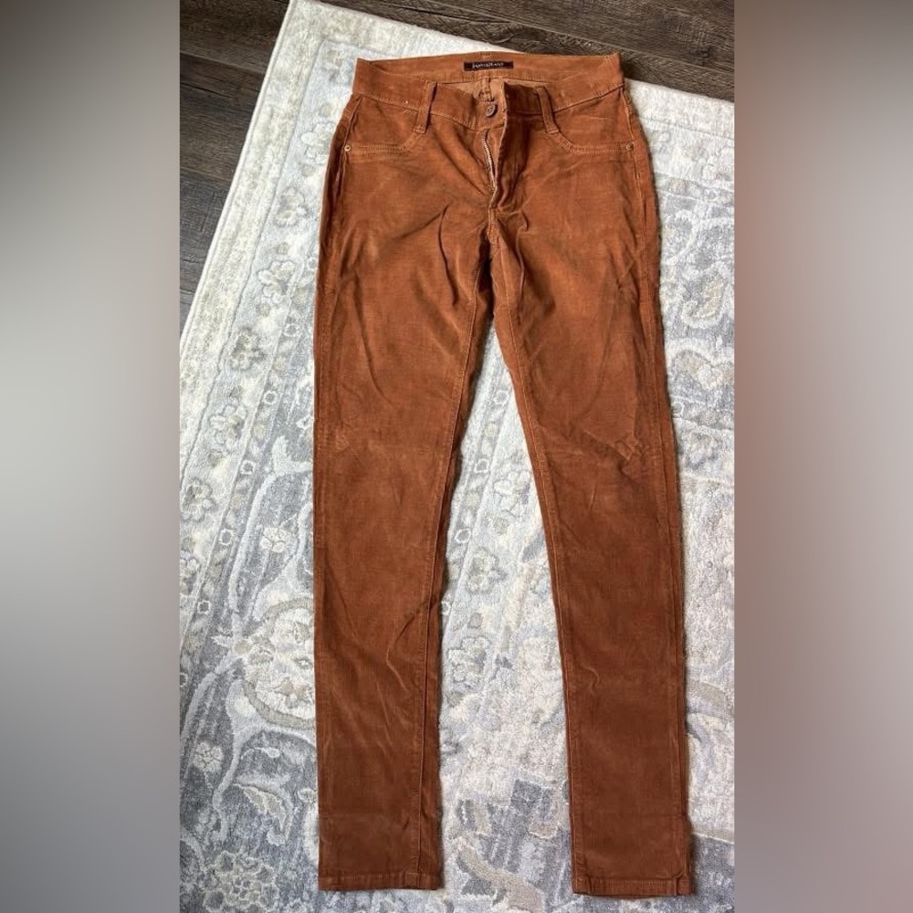 James Jeans Women's Skinny Pants in Rust Brown